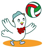 Hat Volley icon